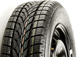 Star Performer Winter Star Performer Winter